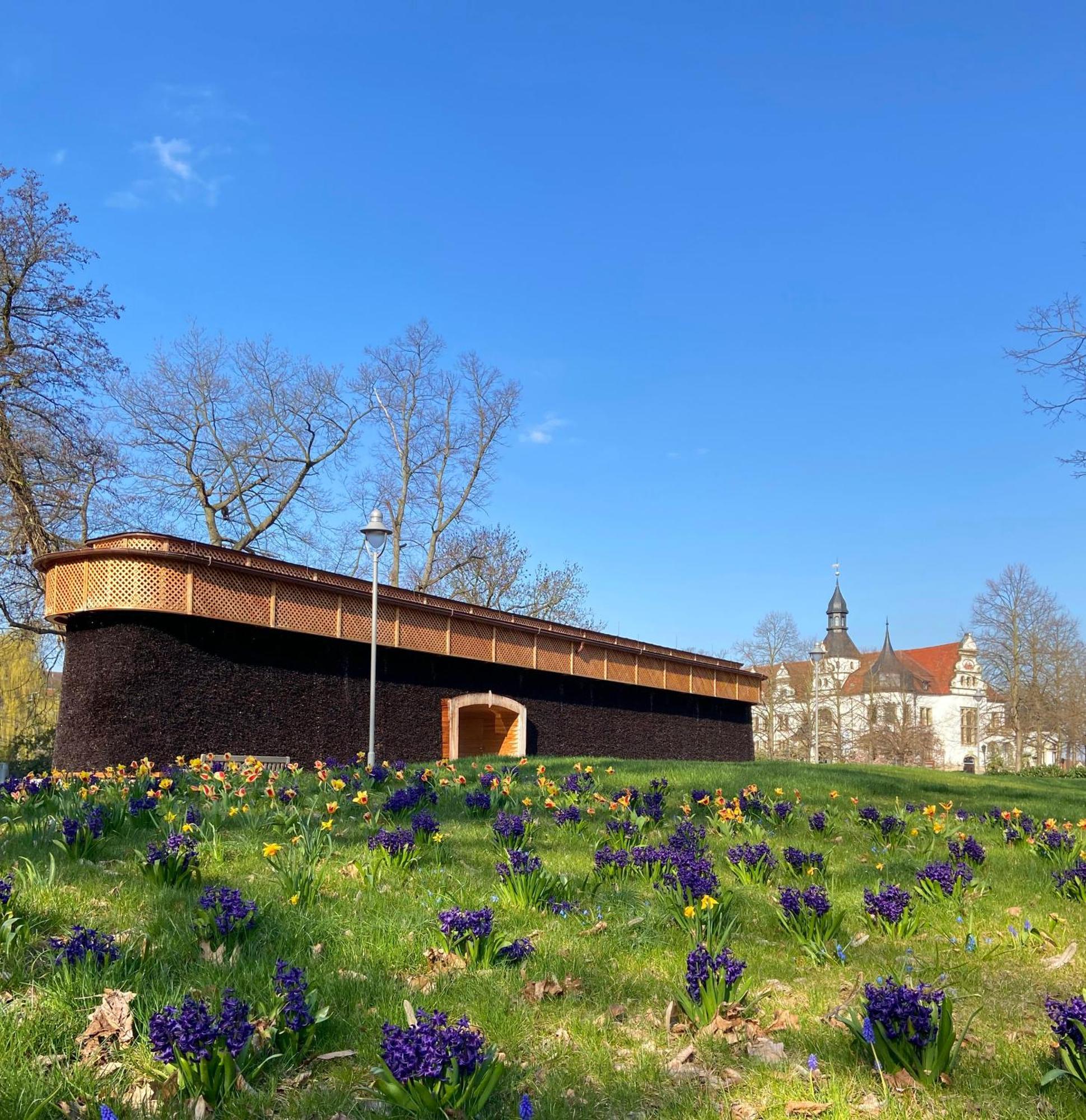 Kurhotel Bad Schmiedeberg Exteriör bild